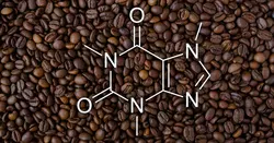 HET OORDEEL Welk Type Koffie Heeft De Meeste Cafene